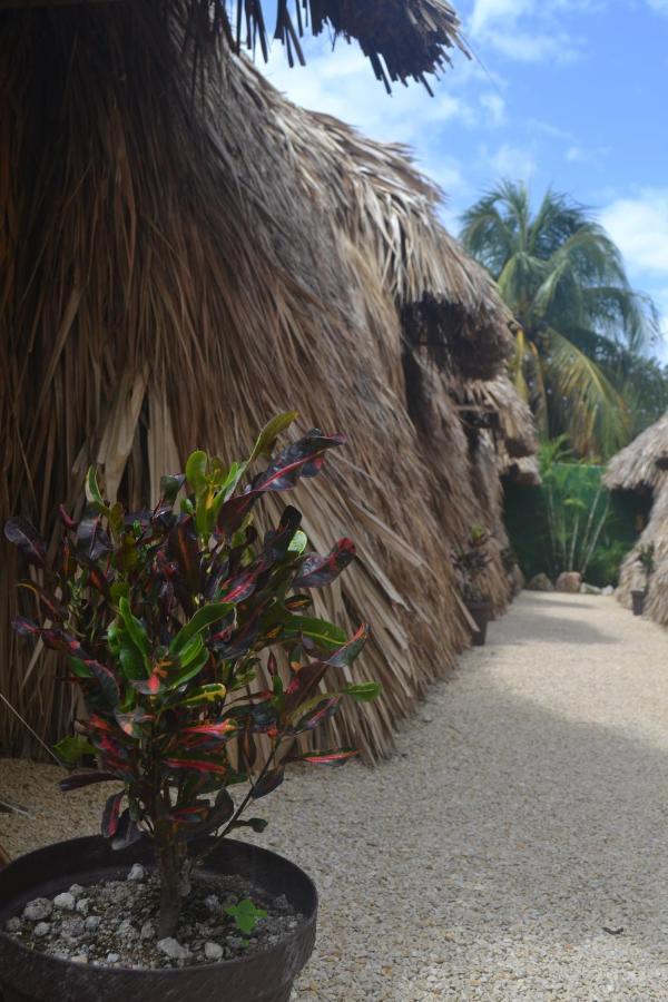 Hakuna Matata Glamping Bacalar Zewnętrze zdjęcie